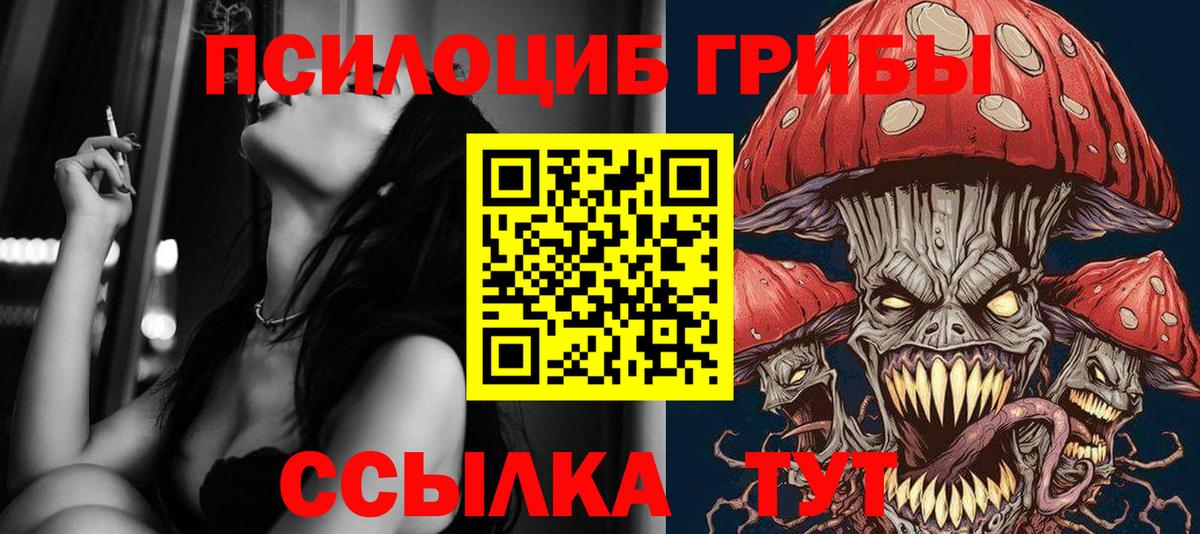Галлюциногенные грибы Magic Shrooms  Галлюциногенные грибы мицелий  Кисловодск  Вход с VPN 